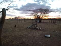 WhatsApp Image 2019-07-30 at 15.11.34 (2).jpeg