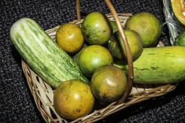 Sessão Especial na Alba-5.jpg