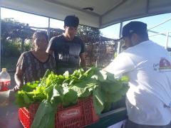 WhatsApp Image 2019-08-11 at 11.44.53.jpeg