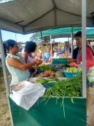 WhatsApp Image 2019-08-12 at 09.53.54 (1).jpeg