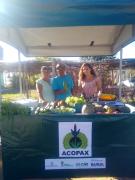 WhatsApp Image 2019-08-12 at 09.53.55 (2).jpeg