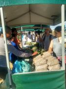 WhatsApp Image 2019-08-12 at 09.53.55.jpeg