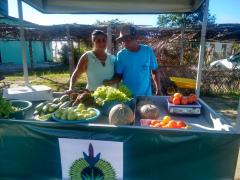 WhatsApp Image 2019-08-12 at 09.53.56.jpeg