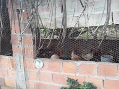 WhatsApp Image 2019-08-29 at 15.01.57.jpeg