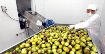 WhatsApp Image 2019-09-10 at 16.20.15.jpeg