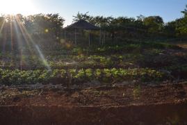 WhatsApp Image 2019-09-11 at 17.23.42.jpeg