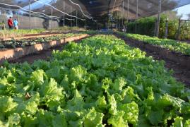 WhatsApp Image 2019-09-11 at 17.23.43.jpeg