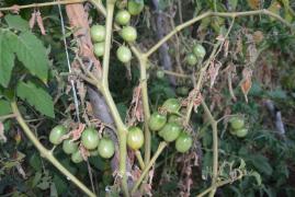 WhatsApp Image 2019-09-11 at 17.23.45 (1).jpeg