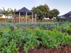 WhatsApp Image 2019-09-11 at 17.31.40.jpeg