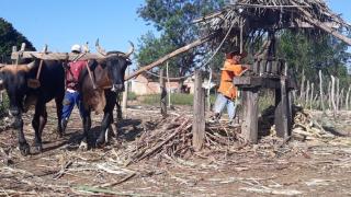 WhatsApp Image 2019-09-16 at 12.52.50.jpeg