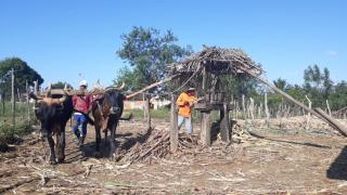 WhatsApp Image 2019-09-16 at 12.52.52.jpeg