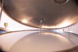 WhatsApp Image 2019-09-17 at 17.00.41.jpeg