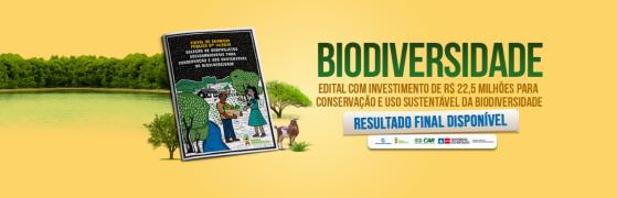 WhatsApp Image 2019-09-19 at 17.27.38.jpeg