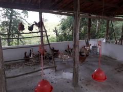 WhatsApp Image 2019-09-20 at 13.43.25.jpeg