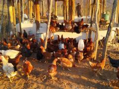 WhatsApp Image 2019-09-20 at 17.41.39 (2).jpeg