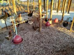 WhatsApp Image 2019-09-20 at 17.41.41.jpeg