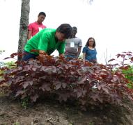 WhatsApp Image 2019-10-22 at 13.57.59 (3).jpeg