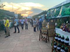 WhatsApp Image 2019-10-25 at 17.49.10.jpeg