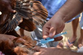 WhatsApp Image 2019-10-30 at 17.38.04 (1).jpeg