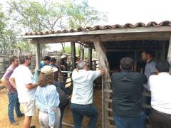 WhatsApp Image 2019-11-01 at 17.00.26 (1).jpeg