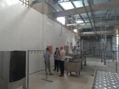 WhatsApp Image 2019-11-01 at 17.17.09 (1).jpeg