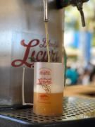 WhatsApp Image 2019-11-30 at 14.00.27.jpeg