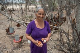 Pró-Semiárido  (13).jpeg