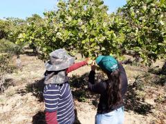 WhatsApp Image 2020-01-07 at 10.22.11 (1).jpeg