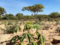 WhatsApp Image 2020-01-07 at 10.22.11 (2).jpeg