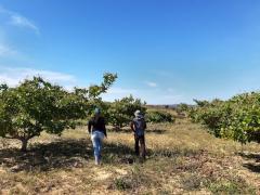 WhatsApp Image 2020-01-07 at 10.22.11 (7).jpeg