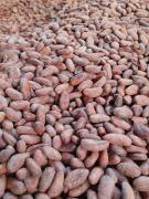 WhatsApp Image 2020-01-10 at 16.25.33 (1).jpeg