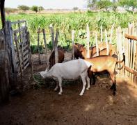 WhatsApp Image 2020-01-14 at 14.46.35.jpeg