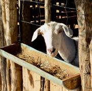 WhatsApp Image 2020-01-14 at 14.46.36 (1).jpeg