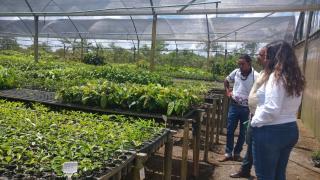 WhatsApp Image 2020-01-17 at 17.45.19.jpeg