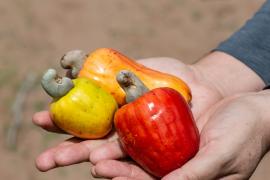 WhatsApp Image 2020-01-21 at 15.27.17 (1).jpeg