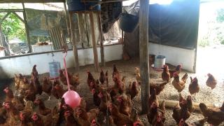 WhatsApp Image 2020-02-07 at 15.31.32.jpeg