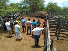 WhatsApp Image 2020-02-13 at 16.51.23.jpeg