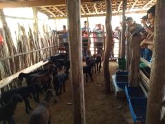 WhatsApp Image 2020-03-04 at 12.59.56.jpeg