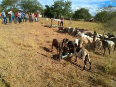 WhatsApp Image 2020-03-04 at 12.59.59 (3).jpeg