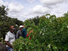 WhatsApp Image 2020-03-05 at 18.12.39 (1).jpeg