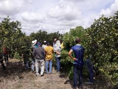 WhatsApp Image 2020-03-05 at 18.12.40.jpeg