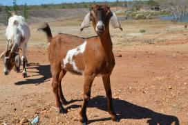 WhatsApp Image 2020-03-17 at 17.54.22 (1).jpeg