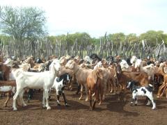 WhatsApp Image 2020-03-17 at 17.54.22.jpeg