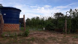 Ensaio-Campo Alegre (3).jpg