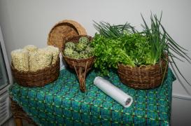 WhatsApp Image 2020-05-05 at 11.29.46.jpeg