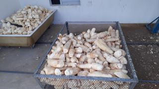 WhatsApp Image 2020-05-14 at 18.54.57.jpeg