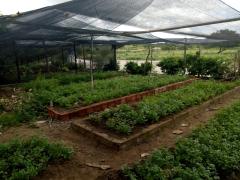 Agricultura Familiar4.jpeg