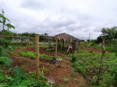 Agroecologia-9.jpg