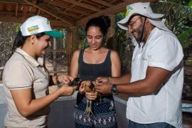 WhatsApp Image 2020-06-02 at 18.09.18.jpeg