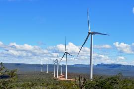  Eólico Campo Largo_foto Luciana Bispo.jpg